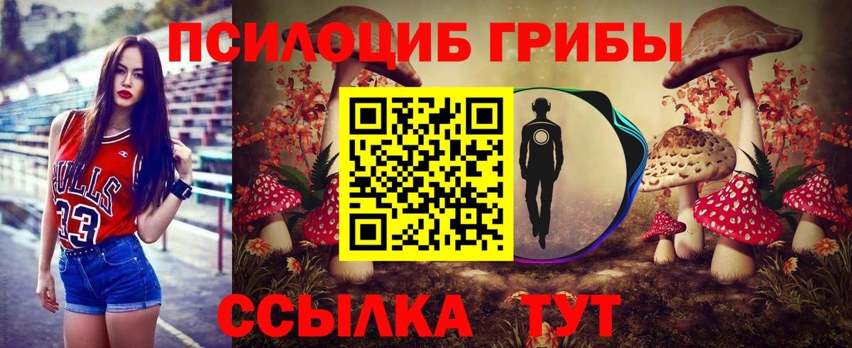 Псилоцибиновые грибы Cubensis  Вход с VPN  Коркино 
